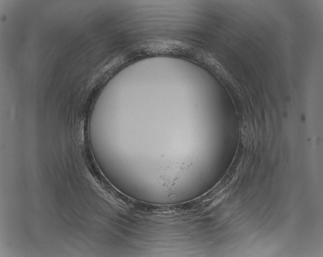 X0000078260454200611030924