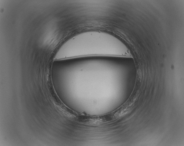 X0000078260458200611030924