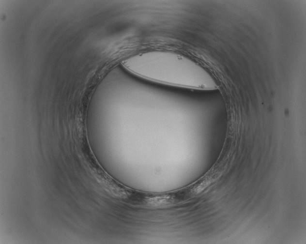 X0000078260461200611030924