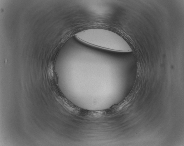 X0000078260479200611030924