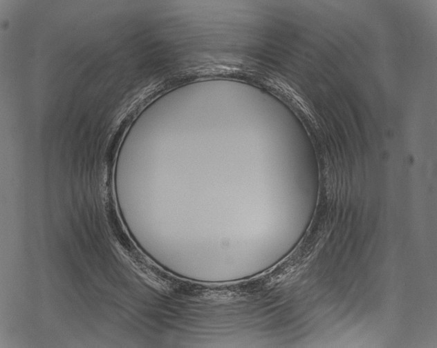 X0000078260490200611030923
