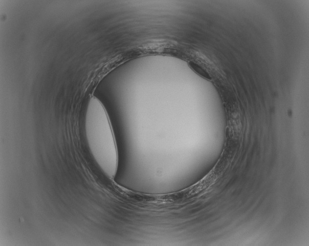 X0000078260504200611030923
