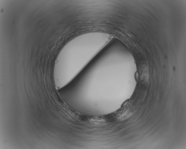 X0000078260515200611030923