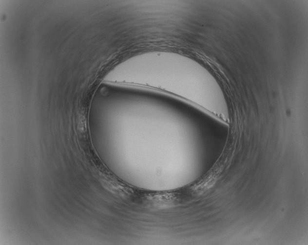 X0000078260517200611030923