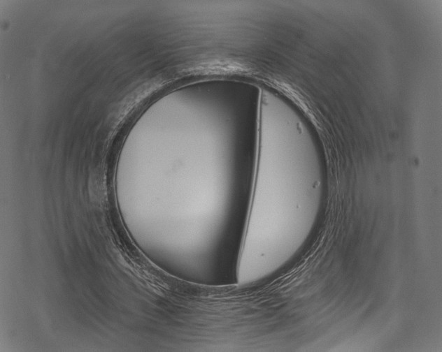 X0000078260531200611030922