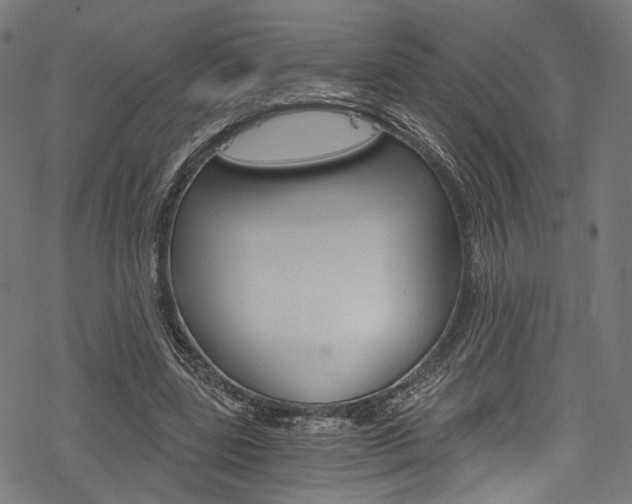 X0000078260539200611030922