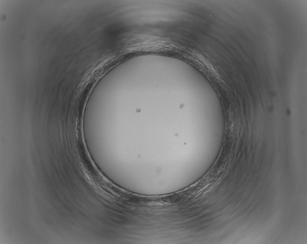X0000078260542200611030922