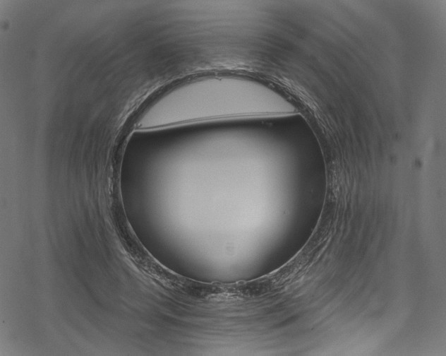 X0000078260544200611030922