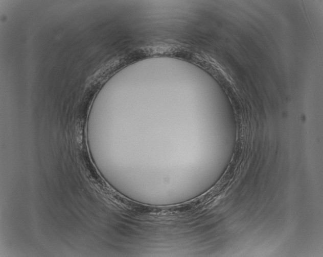 X0000078260545200611030922