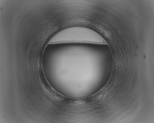 X0000078260546200611030922