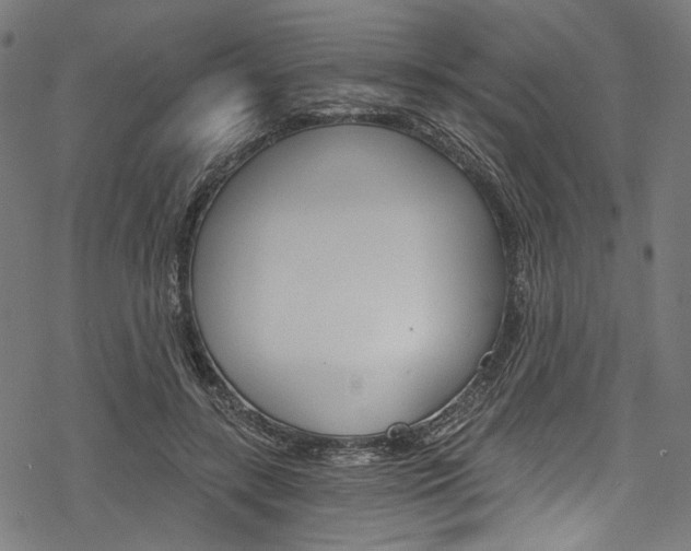 X0000078260547200611030922