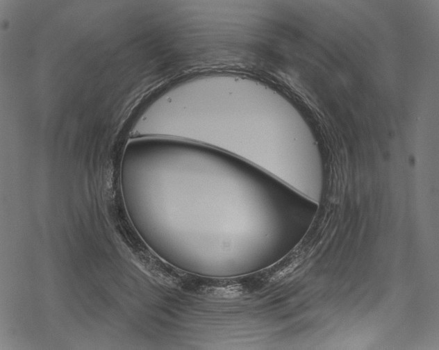 X0000078260548200611030922