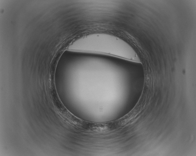 X0000078260552200611030922
