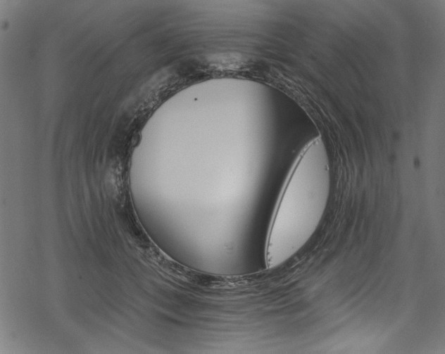 X0000078260559200611030922