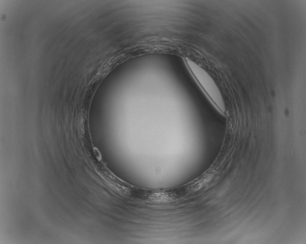 X0000078260562200611030922