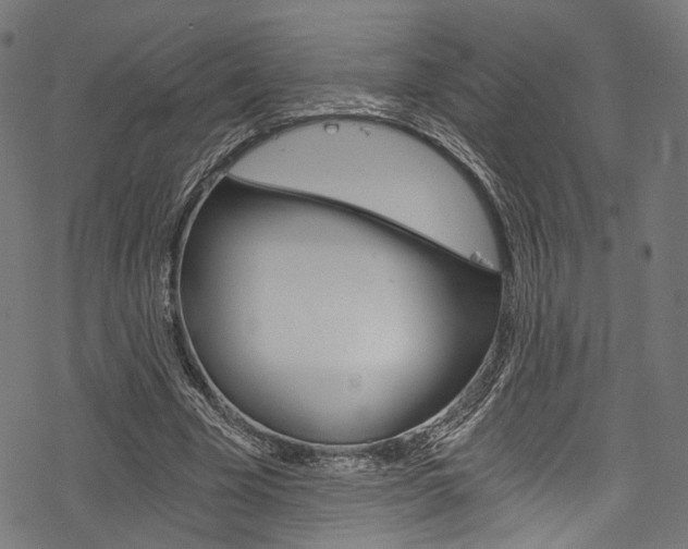 X0000078260585200611030922