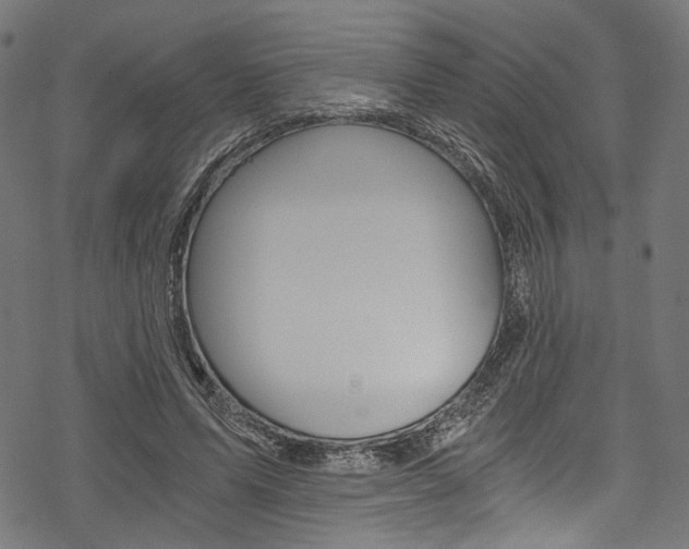 X0000078260591200611030922