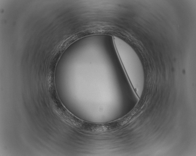 X0000078260600200611030921
