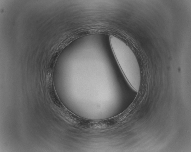 X0000078260601200611030921