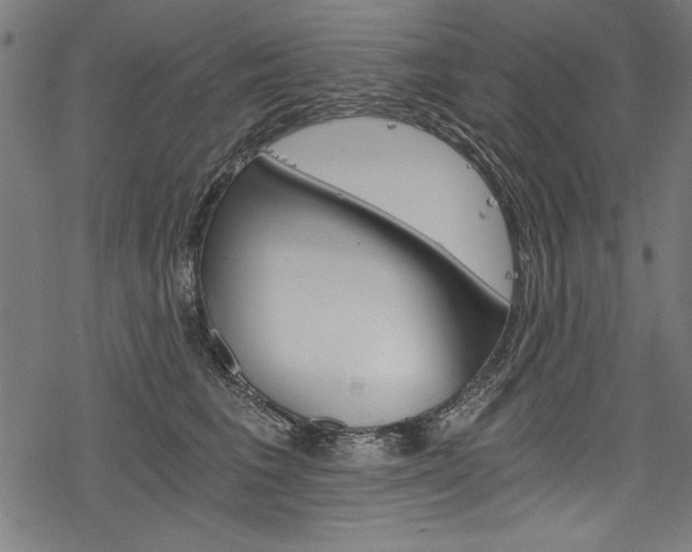 X0000078260613200611030921