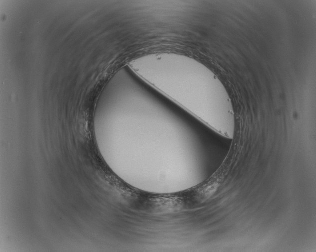X0000078260615200611030921