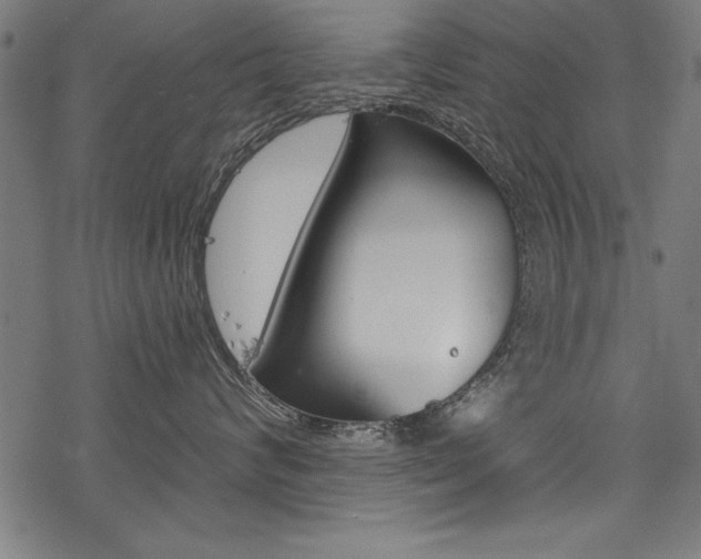 X0000078260624200611030921