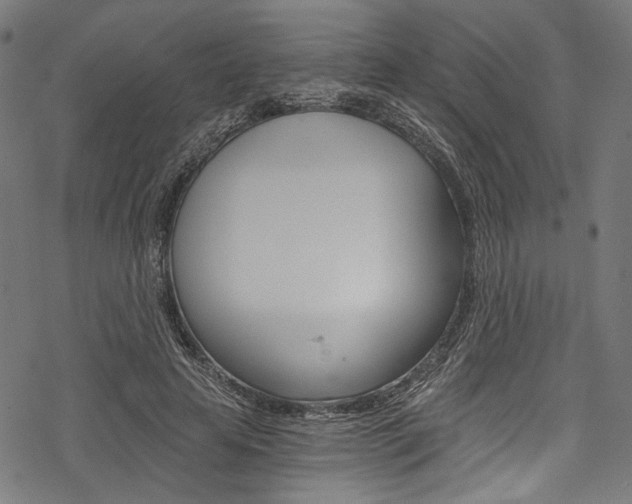X0000078260641200611030920