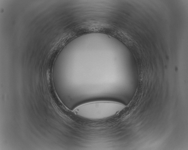 X0000078260646200611030921