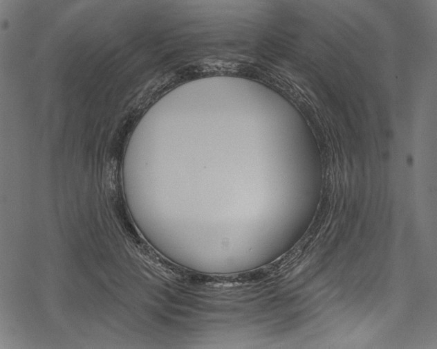X0000078260649200611030921