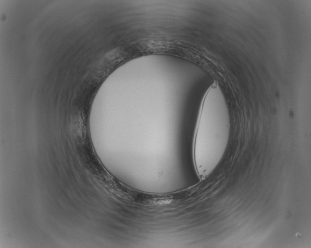 X0000078260651200611030921