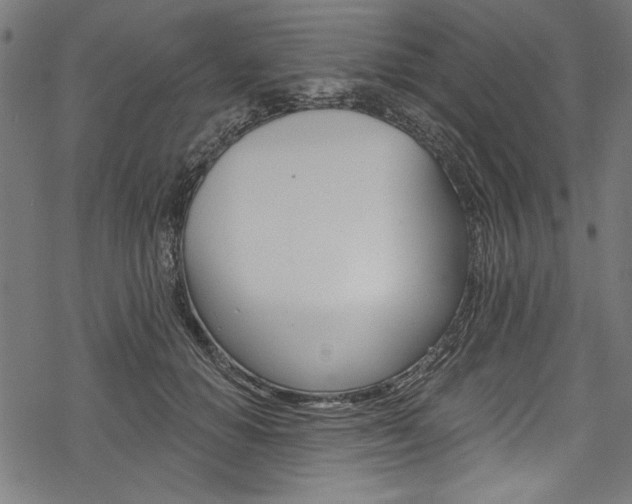 X0000078260654200611030921