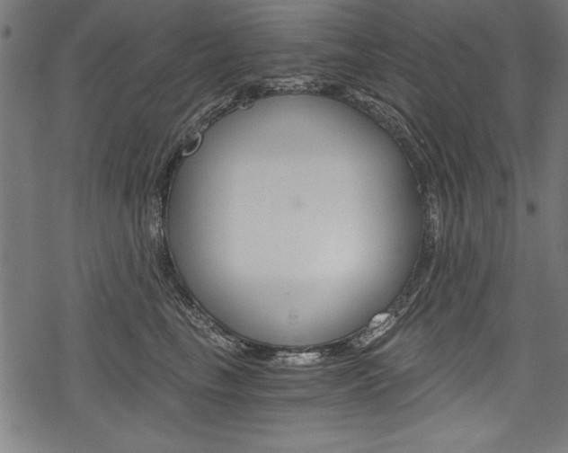 X0000078260665200611030921