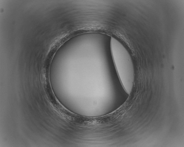 X0000078260688200611030920