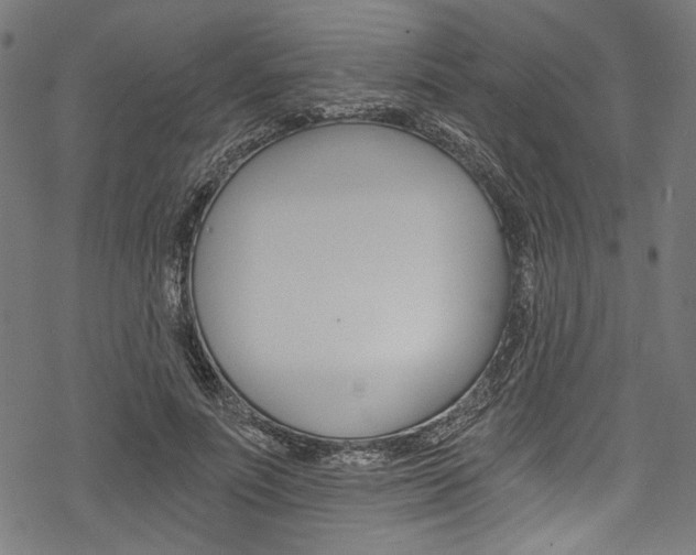 X0000078260691200611030920