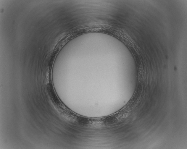 X0000078260694200611030920