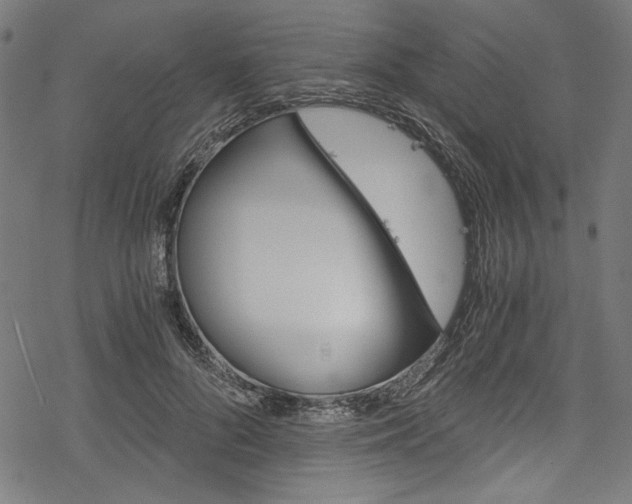 X0000078260696200611030920