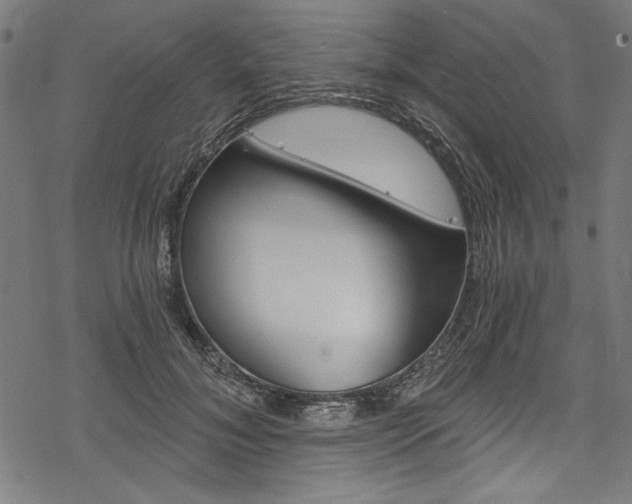 X0000078260700200611030920