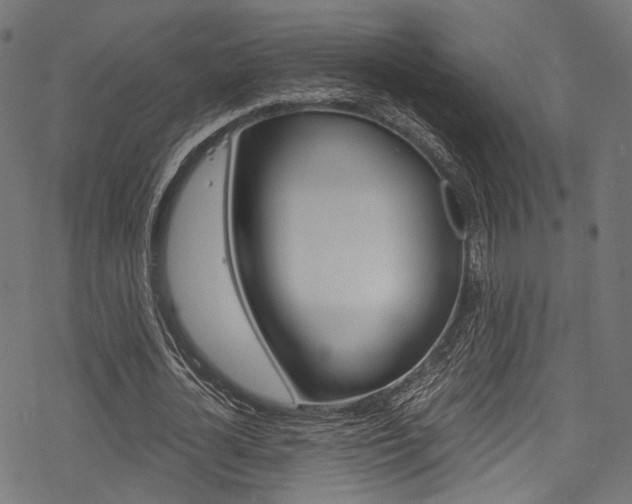 X0000078260724200611030919