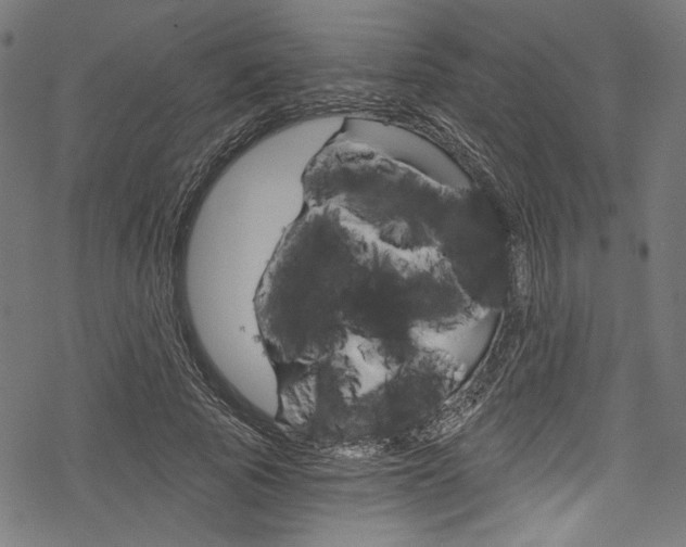 X0000078260737200611030919
