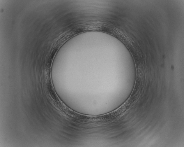 X0000078260741200611030919