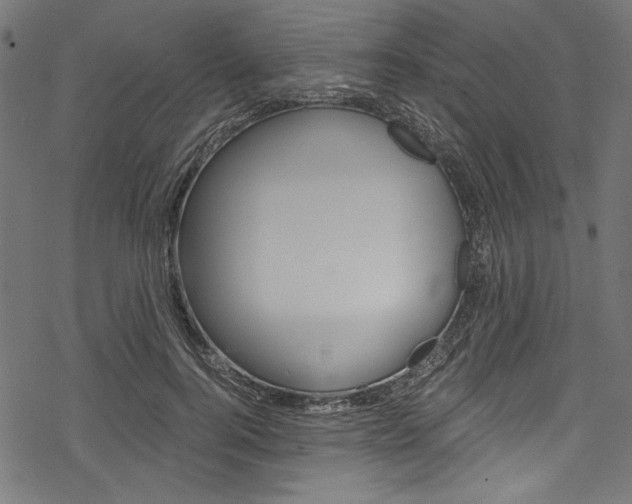 X0000078260744200611030919