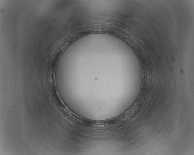 X0000078260746200611030919