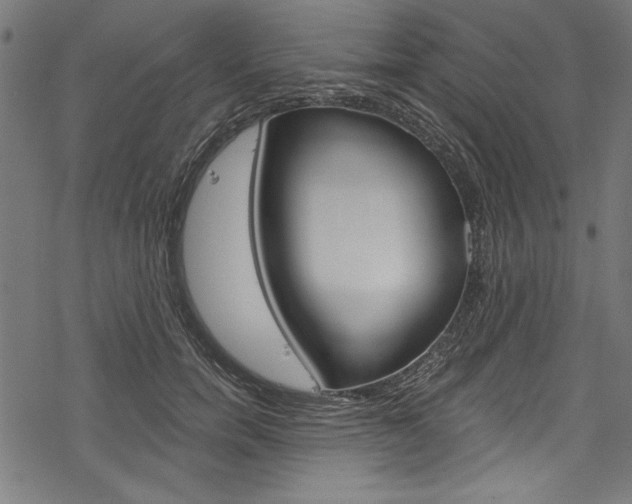 X0000078260750200611030919