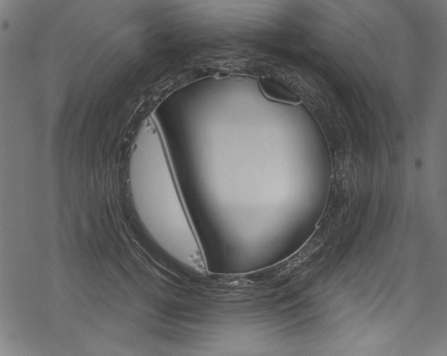 X0000078260752200611030919