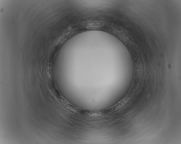 X0000078260755200611030919