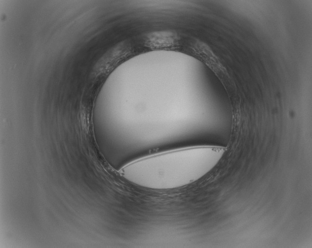 X0000078260763200611030919
