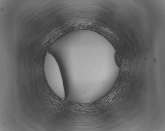 X0000078260774200611030919