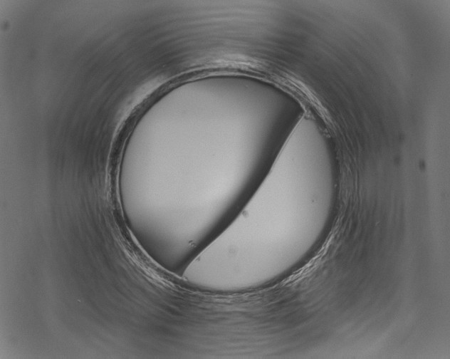 X0000078260780200611030918
