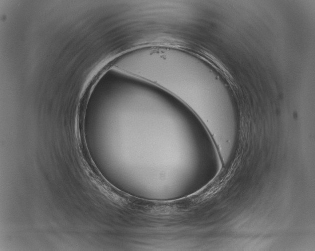 X0000078260788200611030918