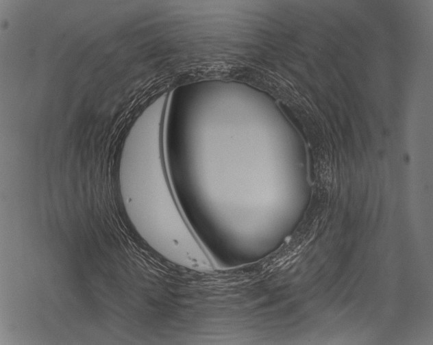 X0000078260818200611030917